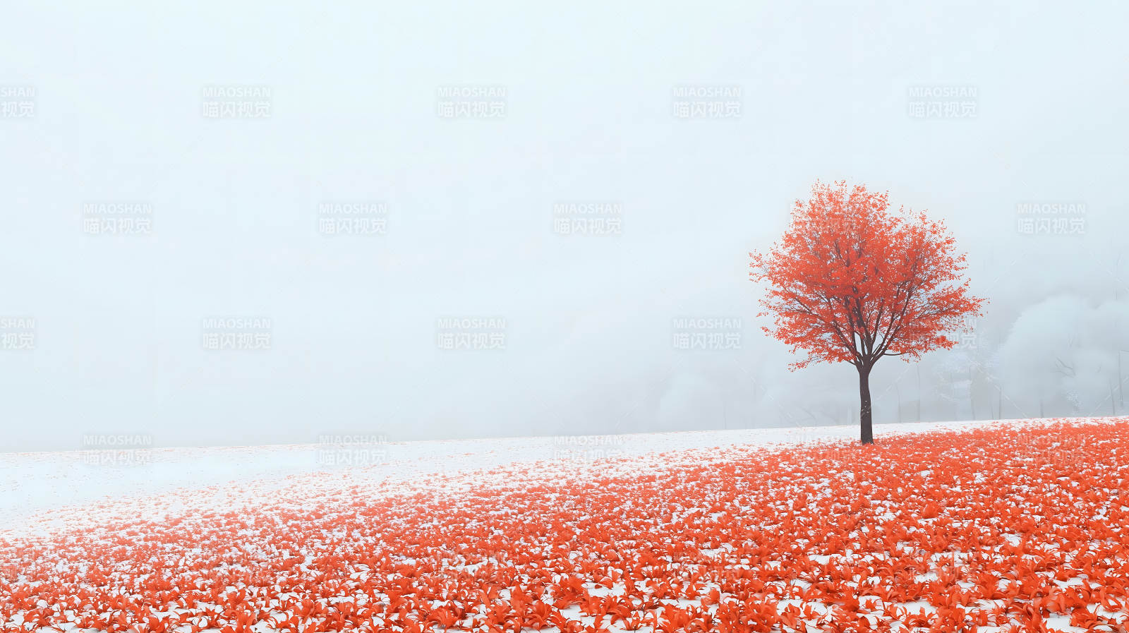 雪地红叶的诗意画卷图片