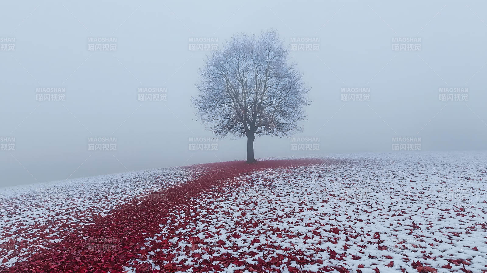 雪地红叶的诗意画卷图片