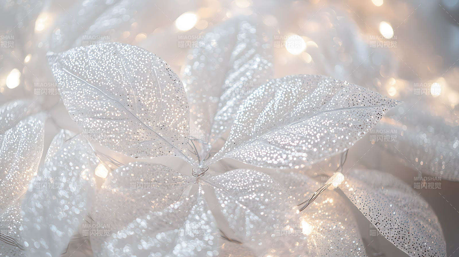 冰霜叶片上的光影诗意图片