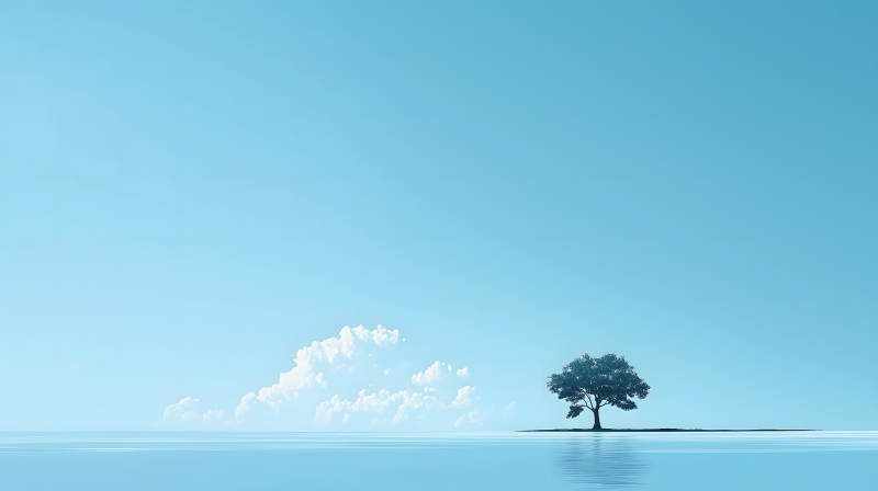 极简主义的孤独之树图片