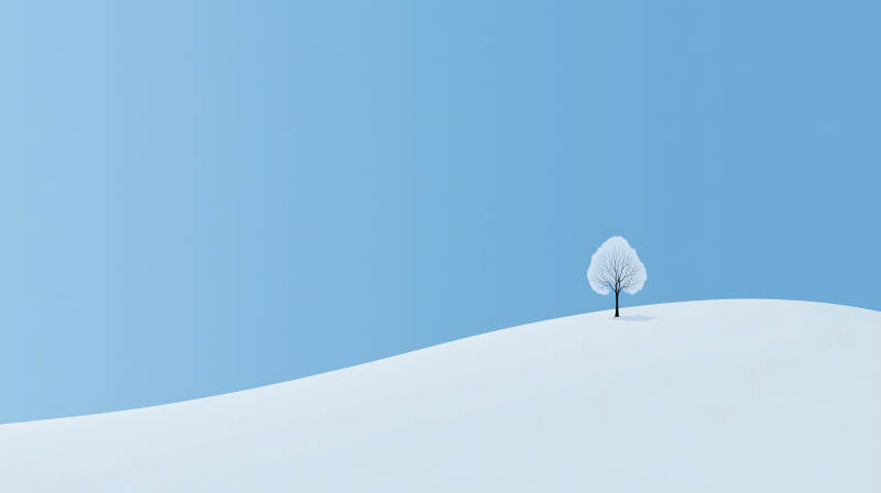 极简主义的孤独之树图片