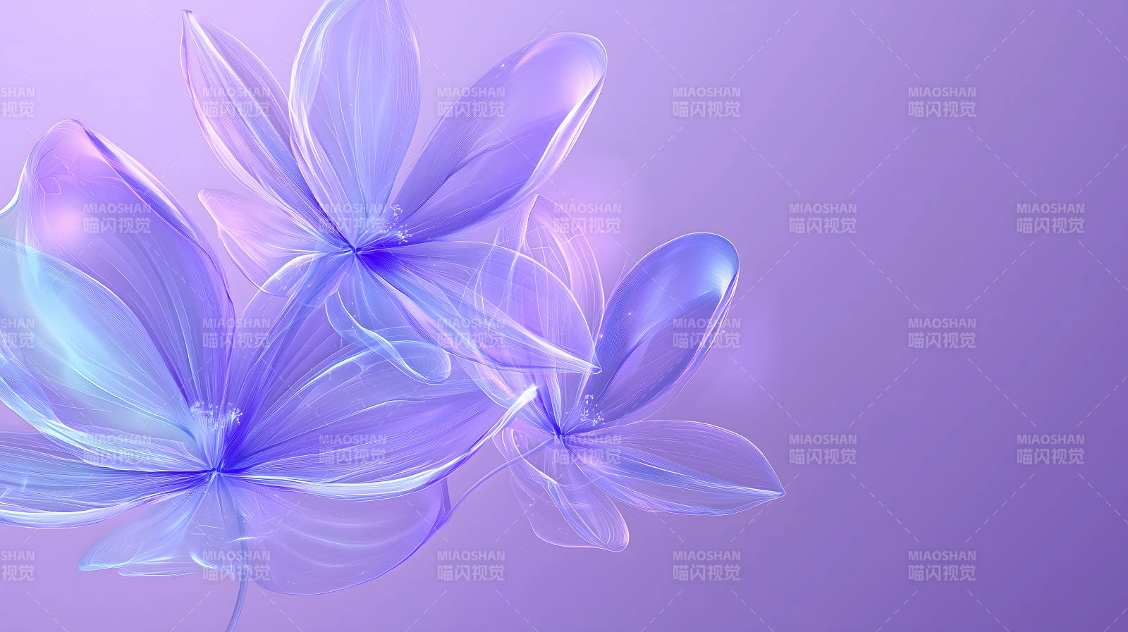 紫色梦幻花朵的绽放图片