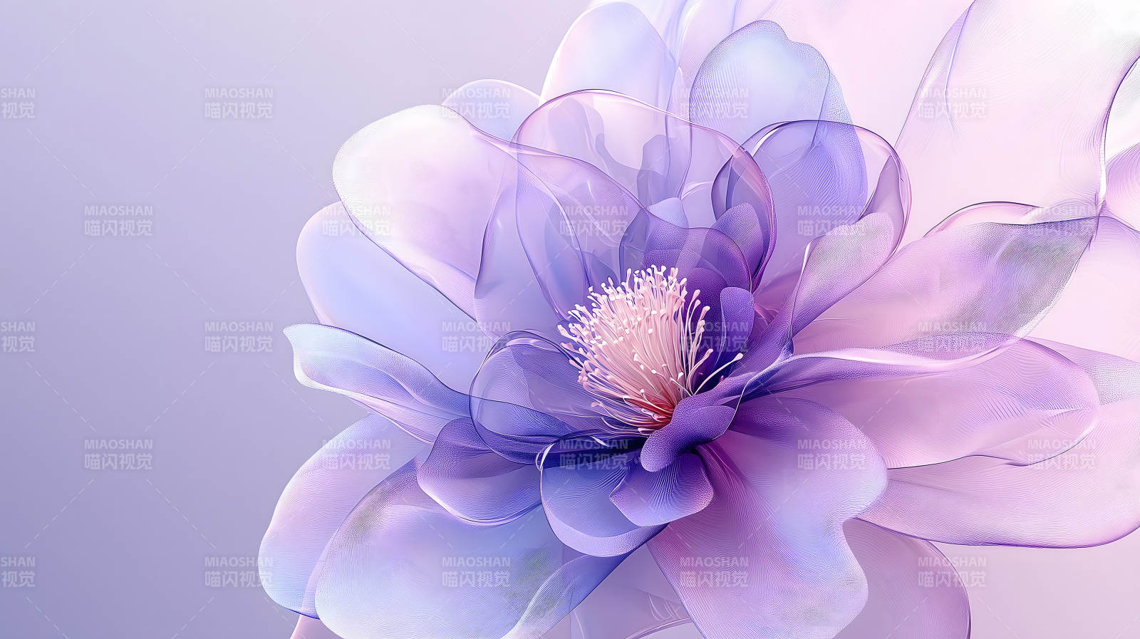 光影交织的透明花朵图片