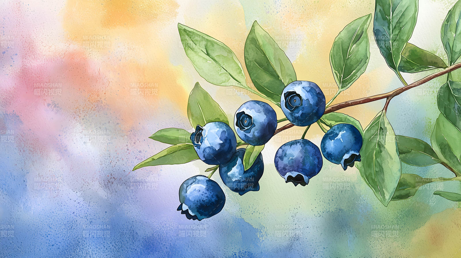 水彩蓝莓的清新画意图片