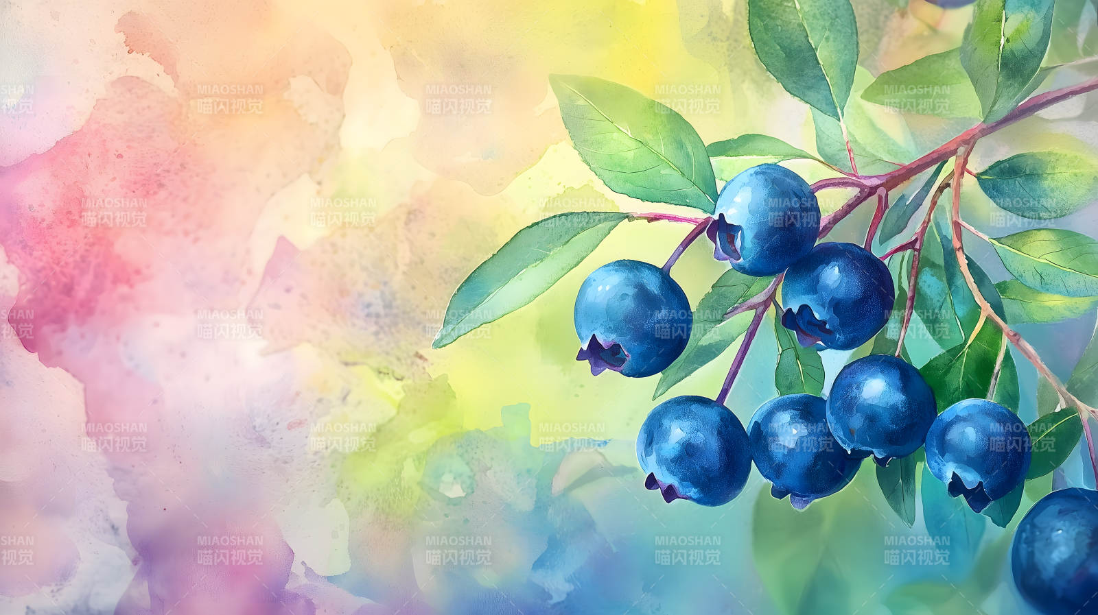 水彩蓝莓的清新画意图片