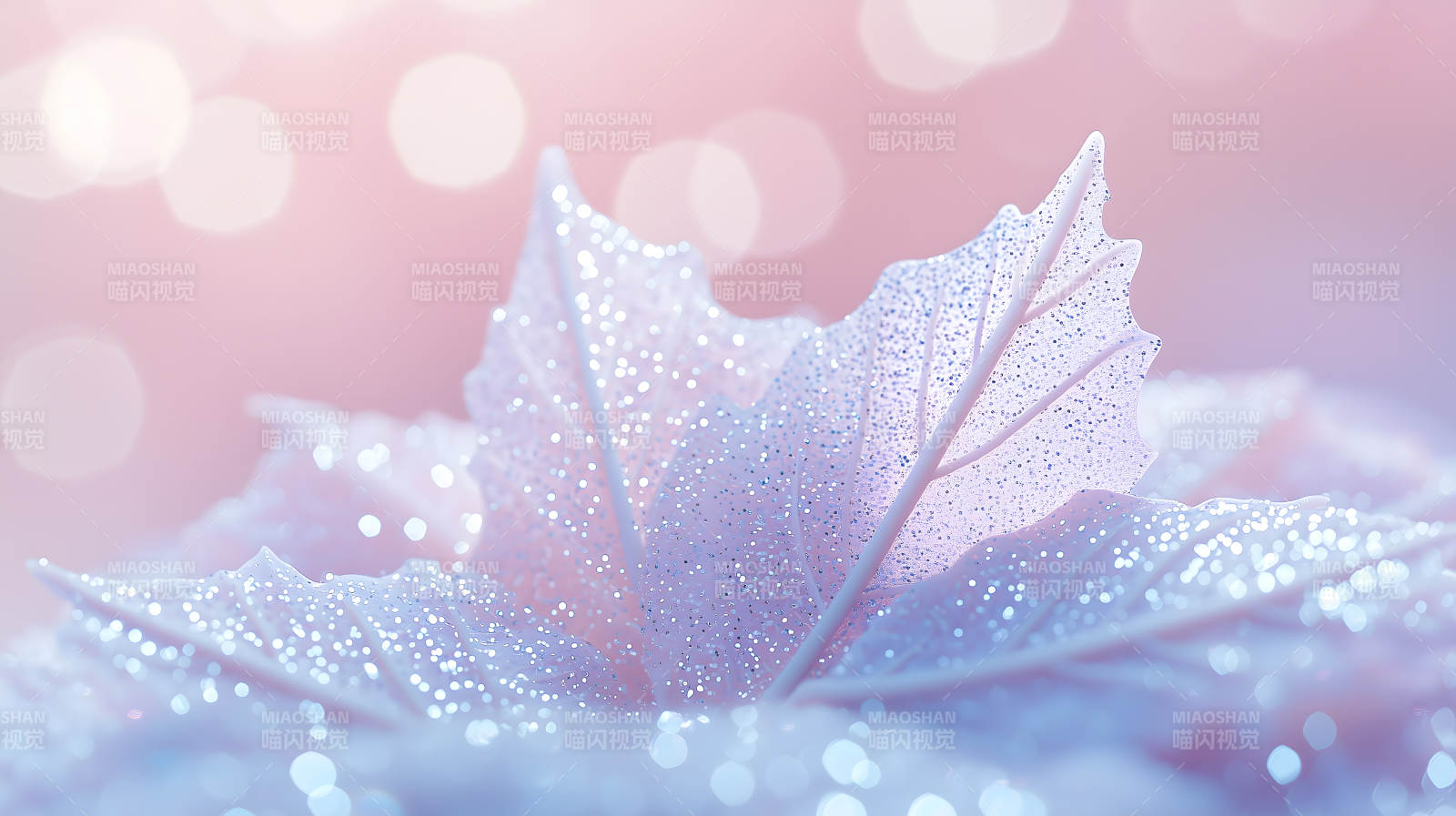 冰霜叶片上的光影诗意图片