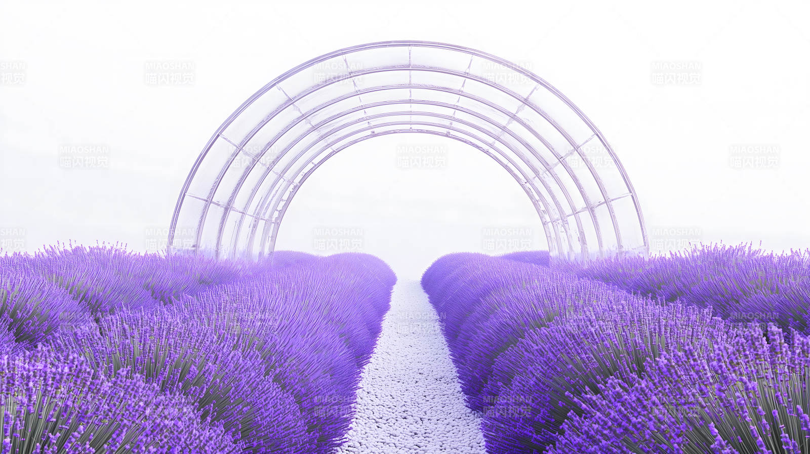 薰衣草田间的梦幻之门图片