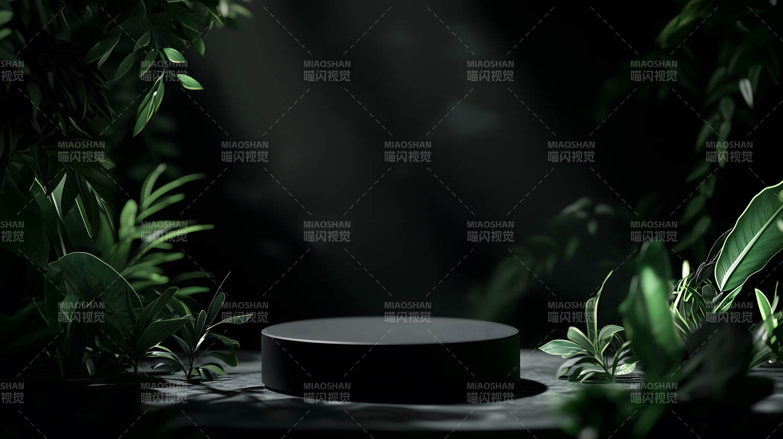 绿植点缀的极简空间图片