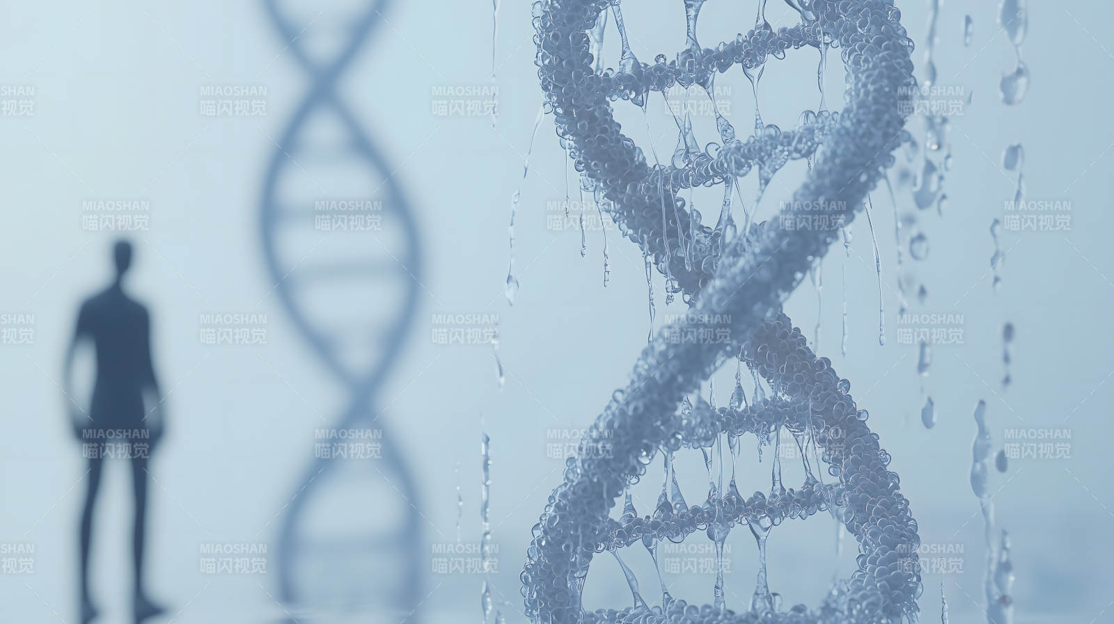 生命密码的奥秘探索图片