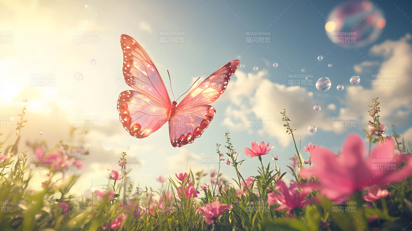 玫瑰园中的梦幻蝶舞图片