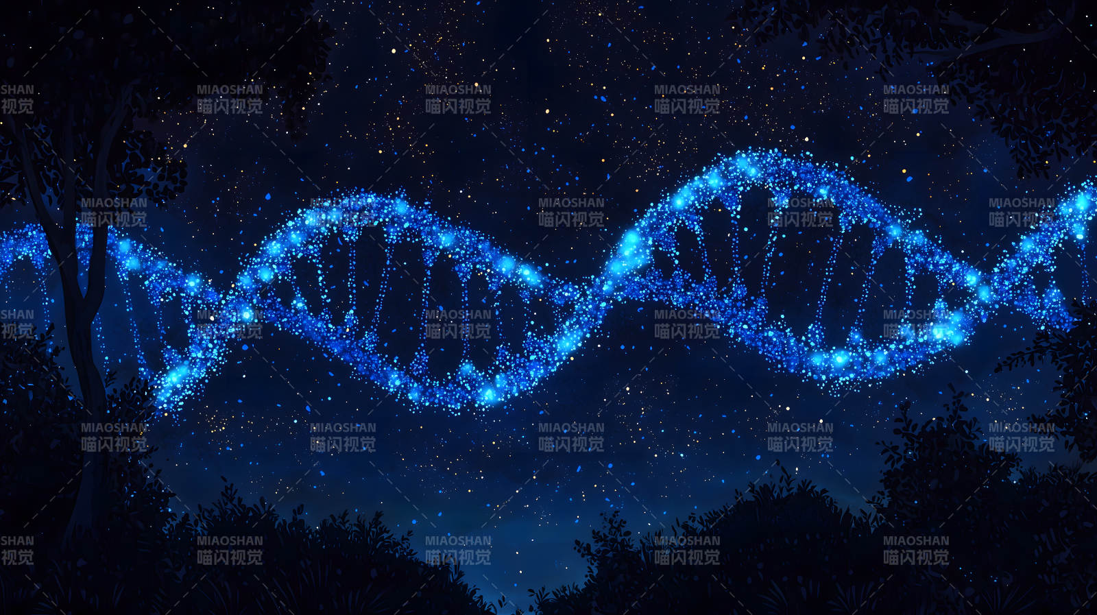 星空下的DNA之舞图片