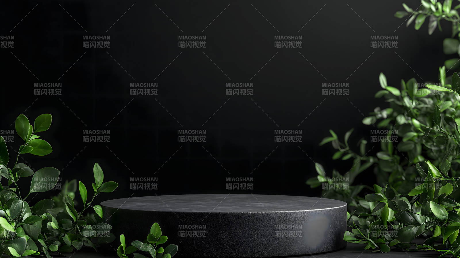 绿植点缀的极简空间图片