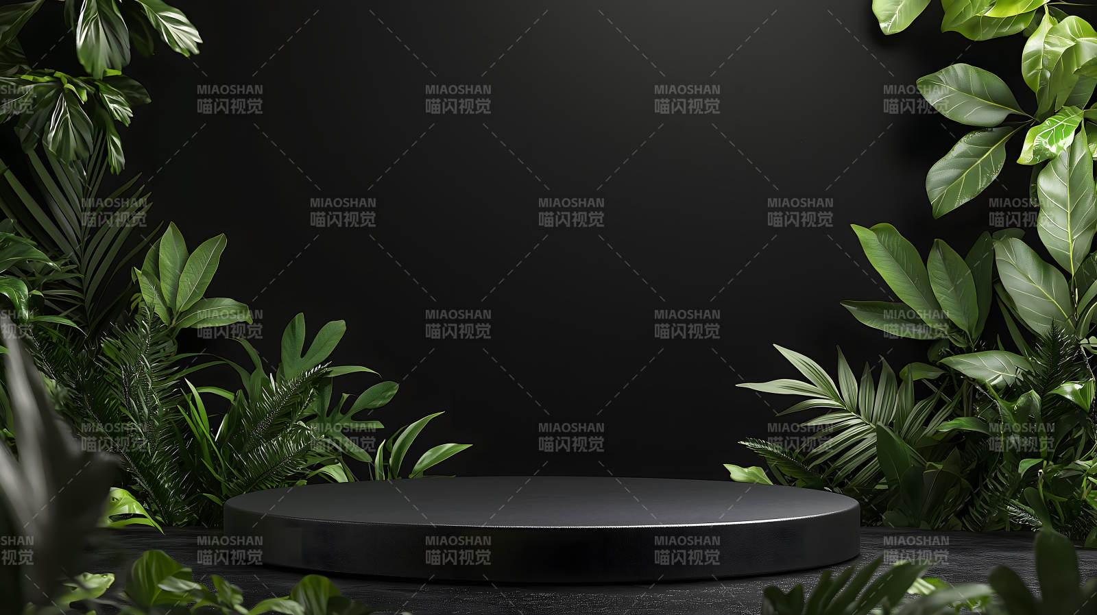 绿植点缀的极简空间图片