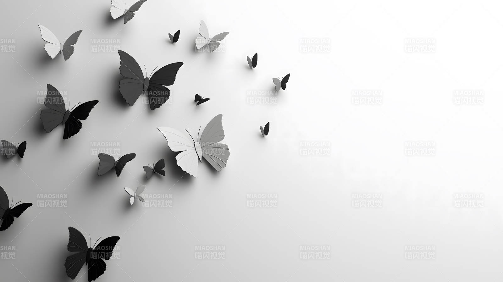 黑白蝴蝶群像图片