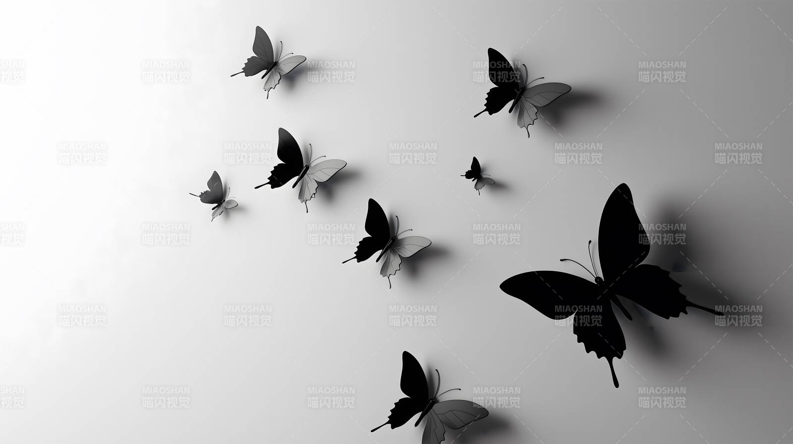 黑白蝴蝶群像图片