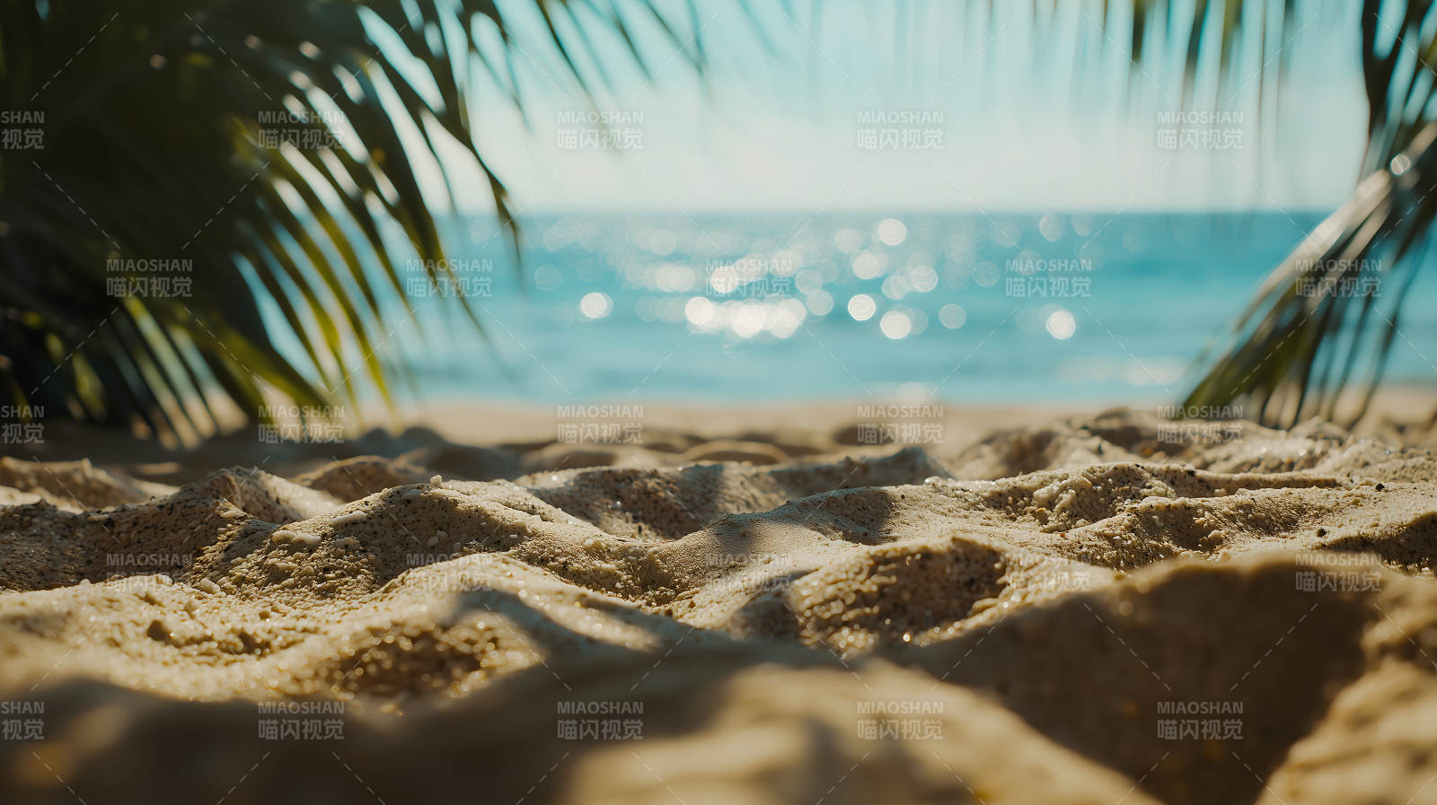 夏日海滩浪花闪烁棕榈添情图片