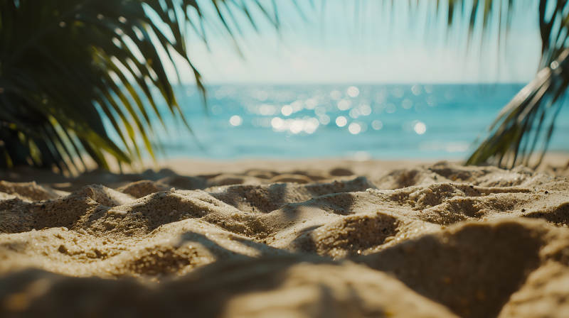 夏日海滩浪花闪烁棕榈添情图片