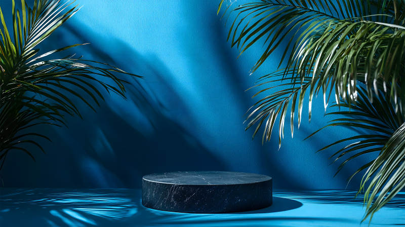蓝色背景中带棕榈叶的黑色大理石展台图片