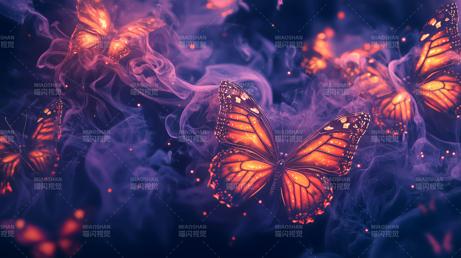 幻彩蝴蝶图景图片