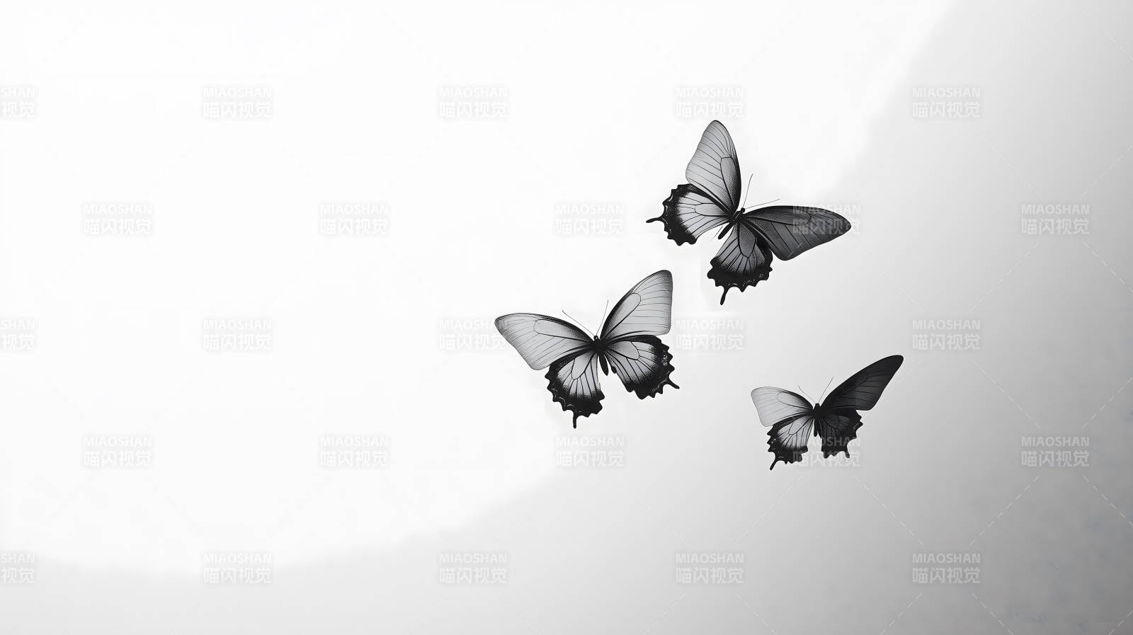 黑白蝴蝶群像图片
