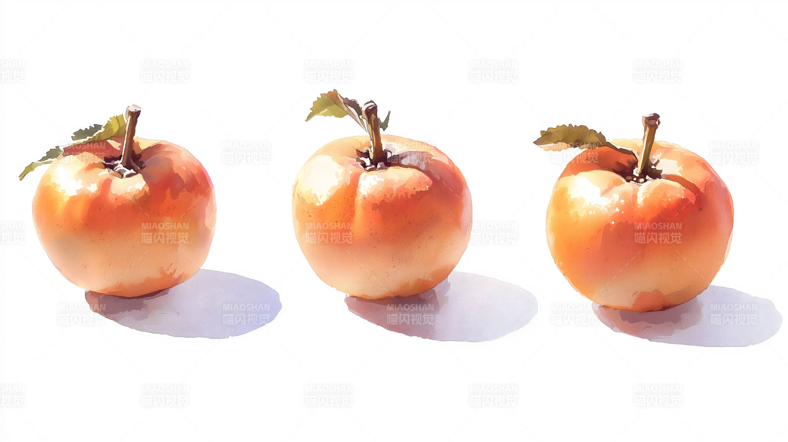 带叶的橙色柿子于白色背景上图片