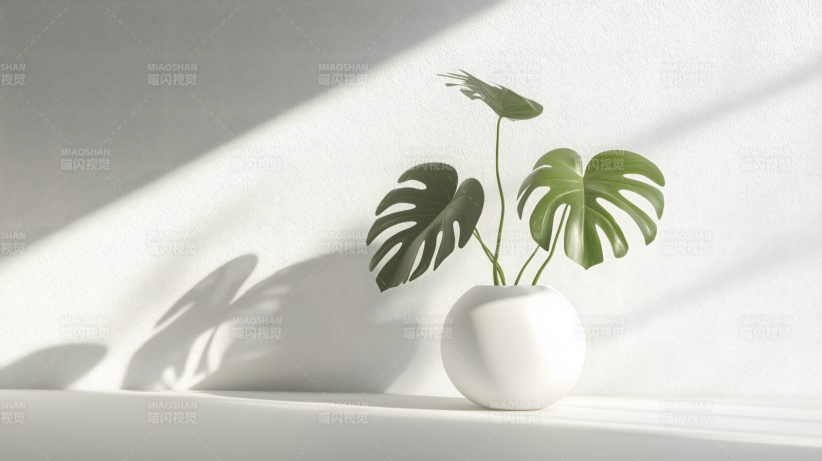 绿植白瓶简约现代阴影添韵图片