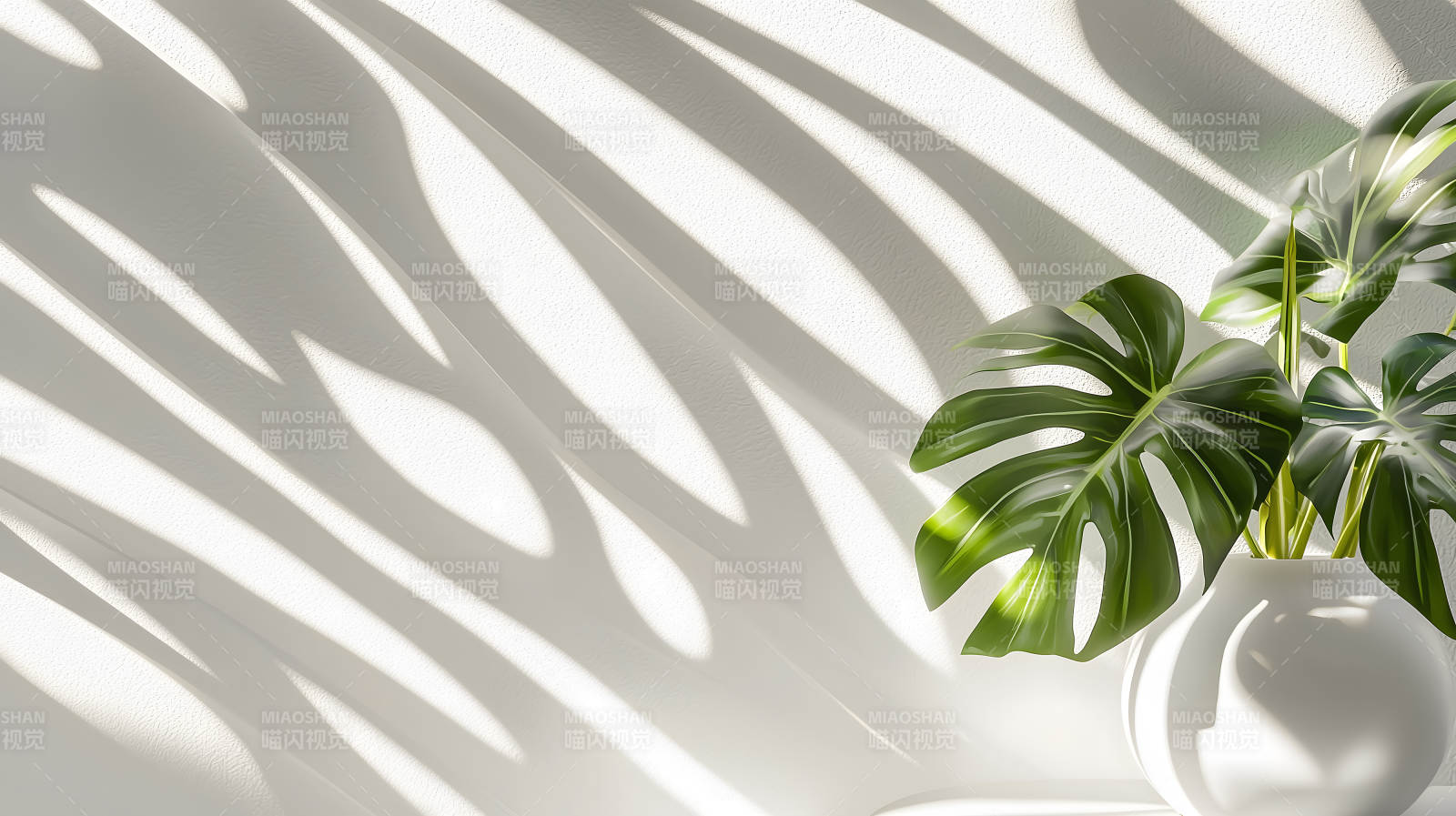 绿植白瓶简约现代阴影添韵图片