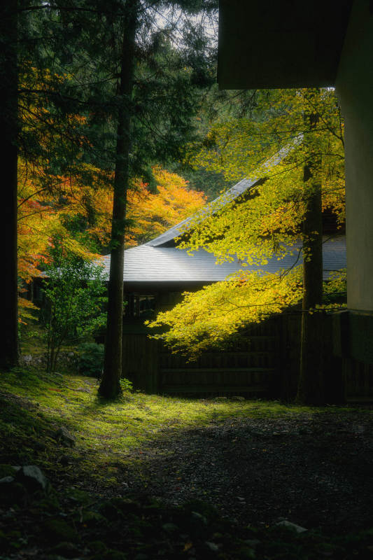 京都来迎院秋林小屋光影图片