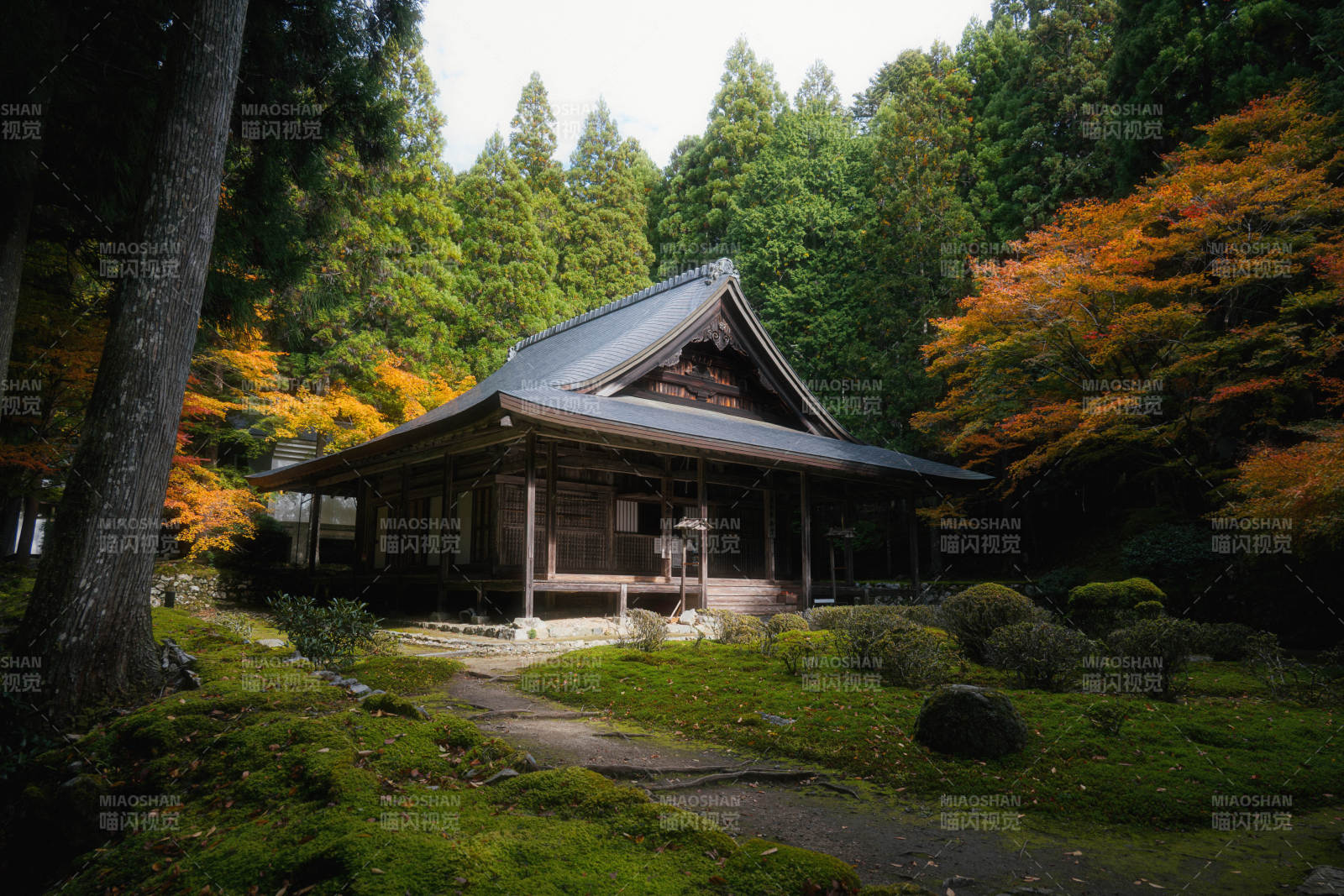 京都来迎院秋林古寺静谧景图片