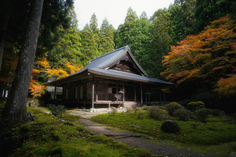 京都来迎院秋林古寺静谧景图片