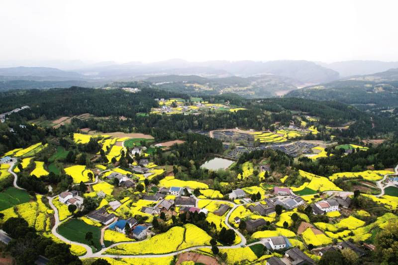 剑门蜀道油菜花海村庄图片