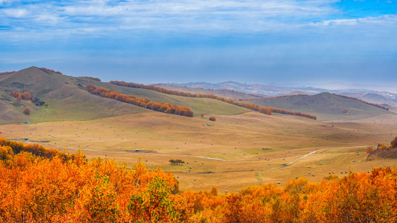 乌兰布统秋日山野风光图片