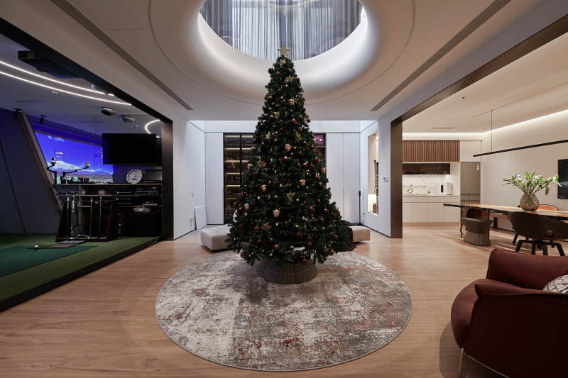 圣诞树下的温馨客厅图片