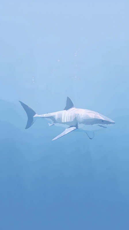 优雅的海洋霸主图片