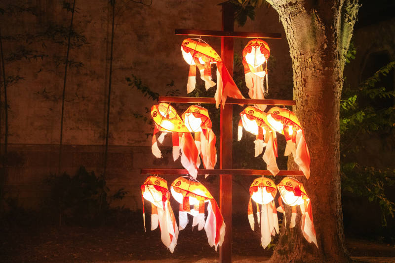 夜灯锦鲤树影图片