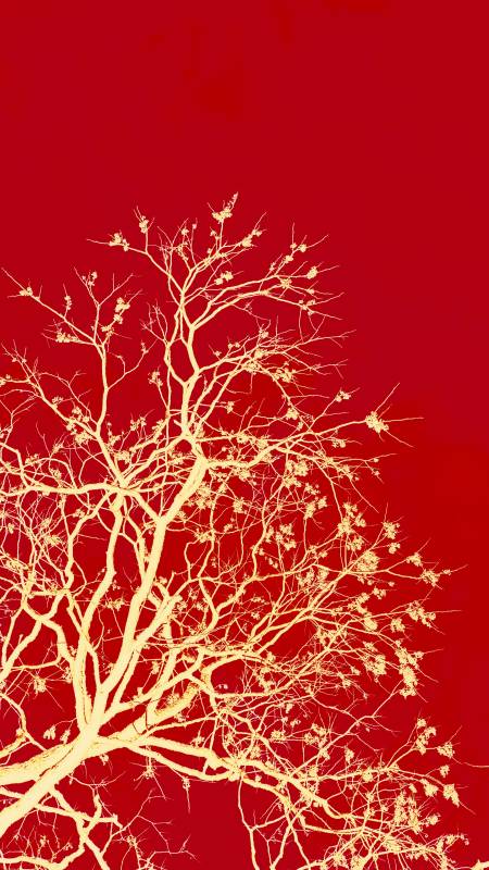 红底金枝树影图片