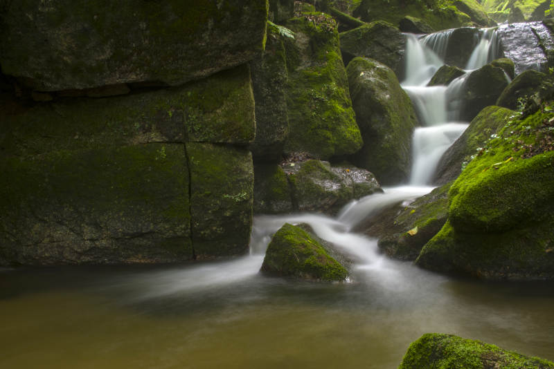 溪流穿石 绿意盎然图片