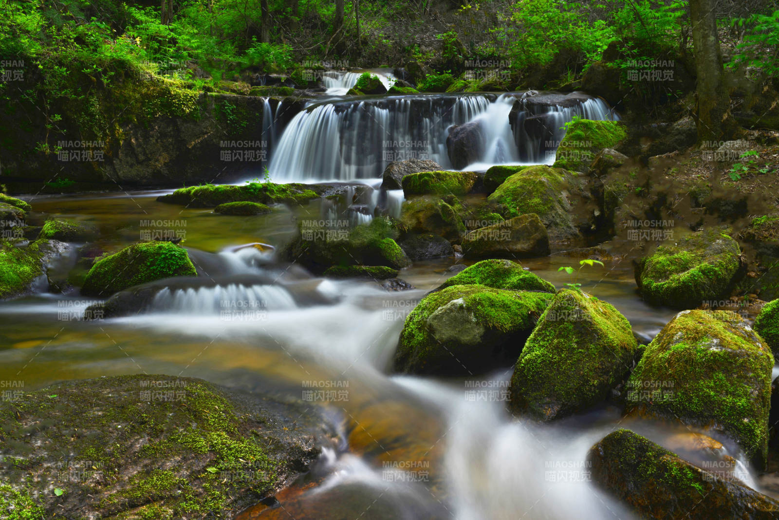 溪流瀑布绿意盎然图片
