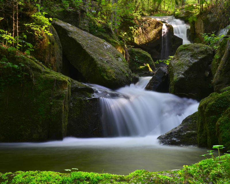 溪流穿石 绿意盎然图片