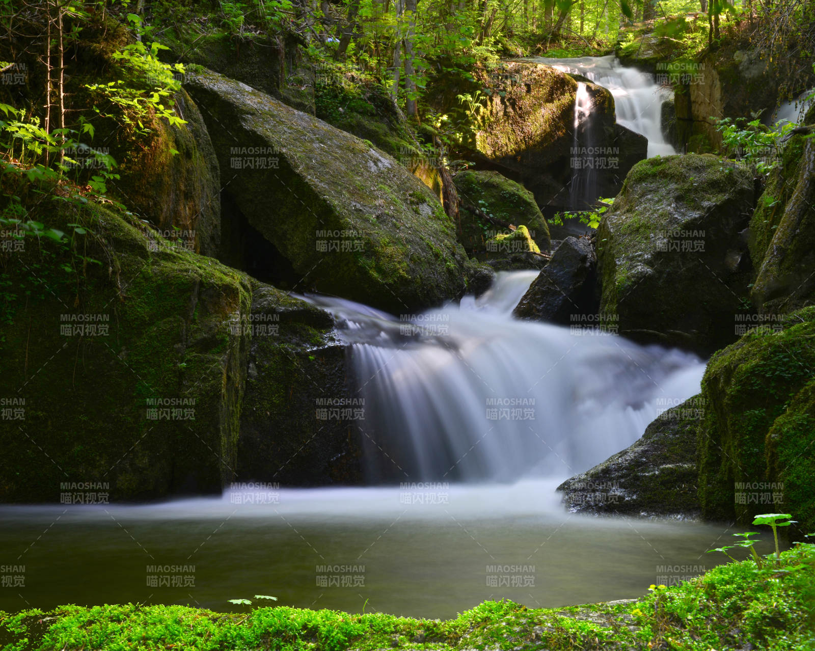 溪流穿石 绿意盎然图片