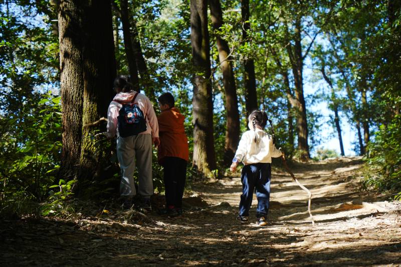 林间小径三人行图片