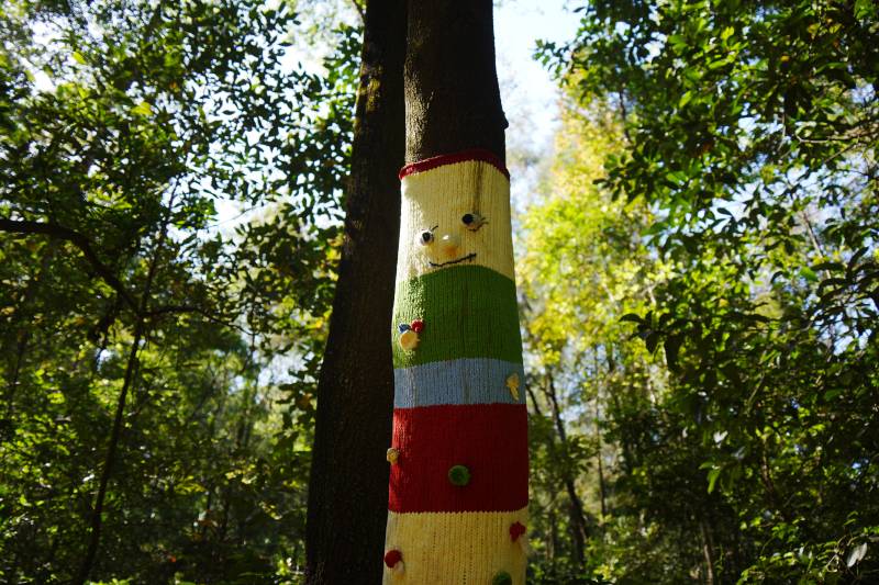 树干上的彩色毛衣图片