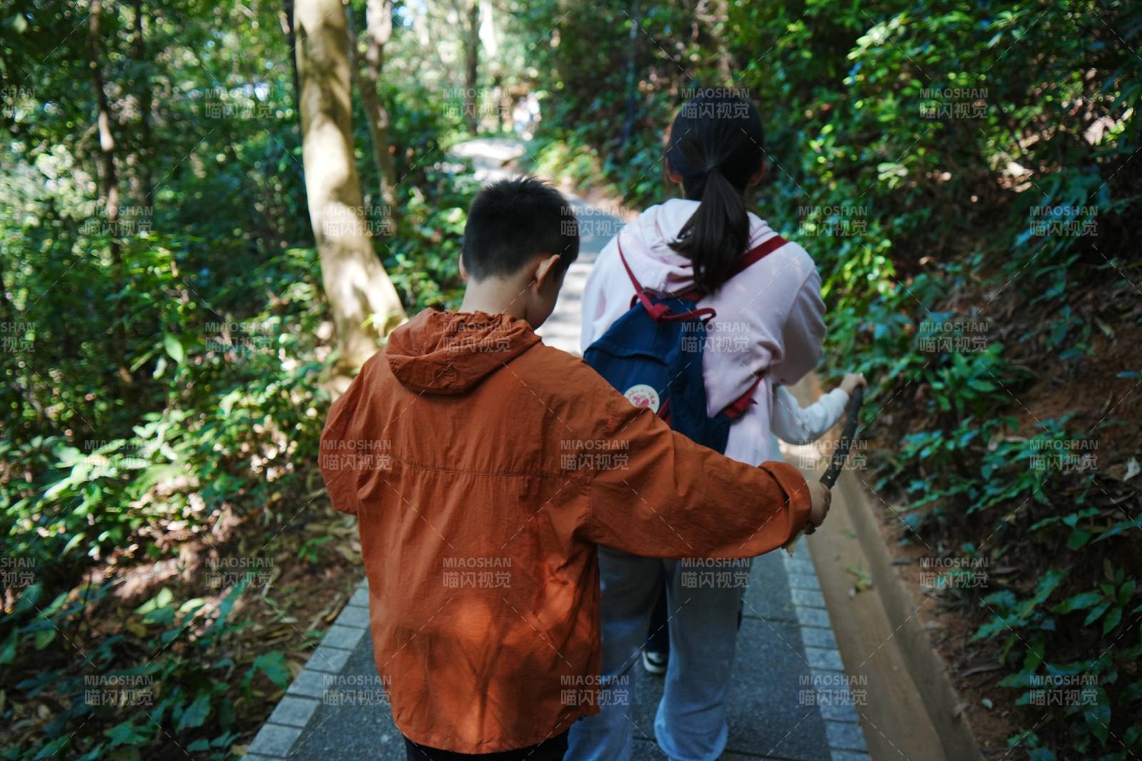 林间携手同行图片