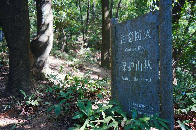 防火护林 爱护森林图片