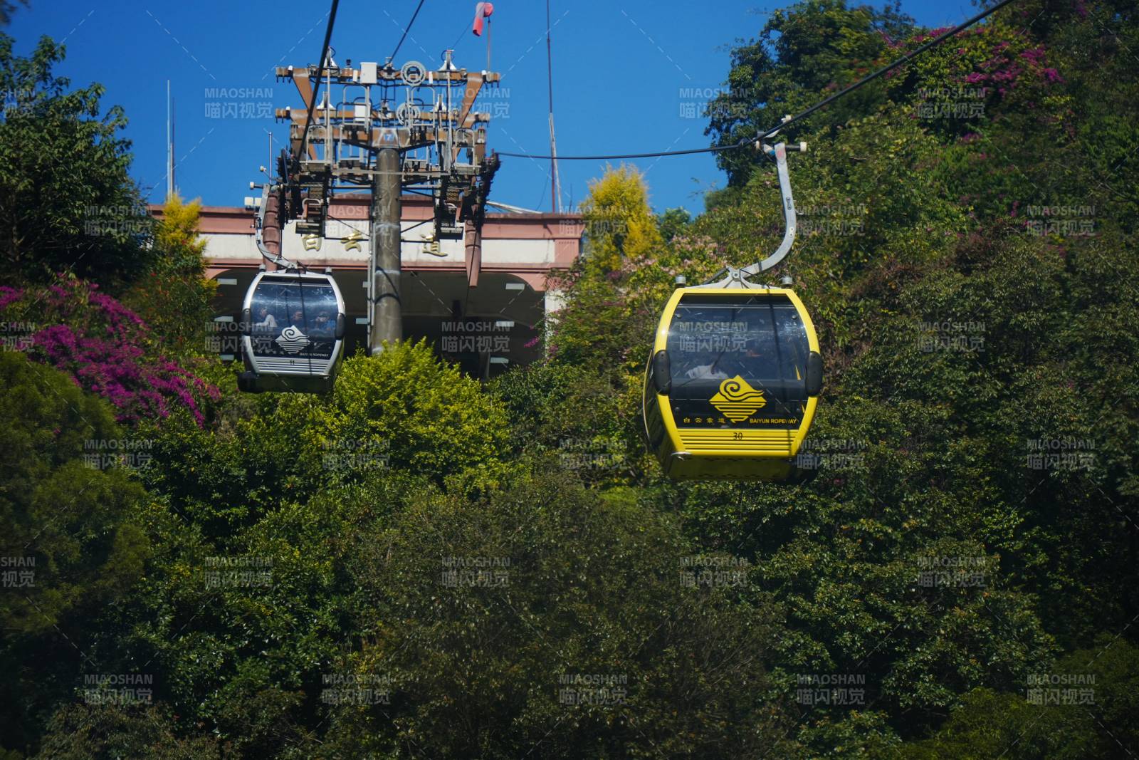 缆车穿梭绿林间图片