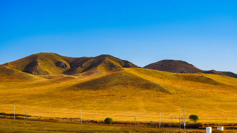 乌兰布统金黄草原山丘图片