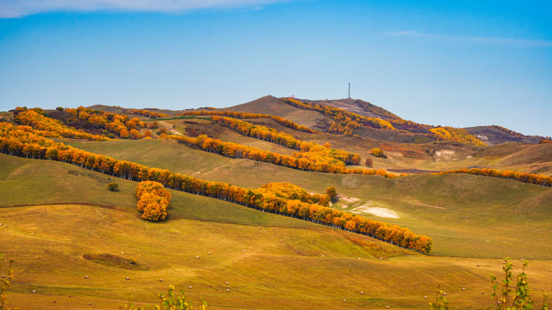 乌兰布统秋日山丘美景图片