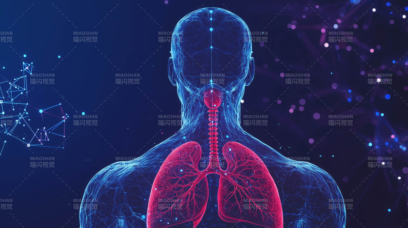 人体肺部结构高清医学影像图片