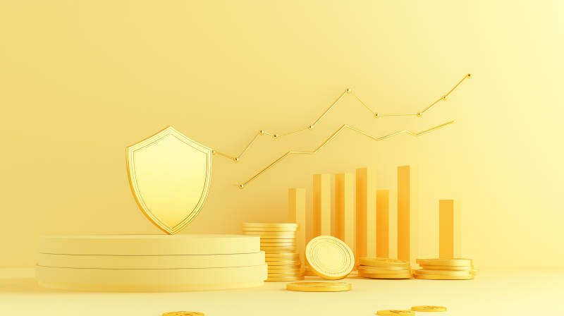 安全与财富的守护图片