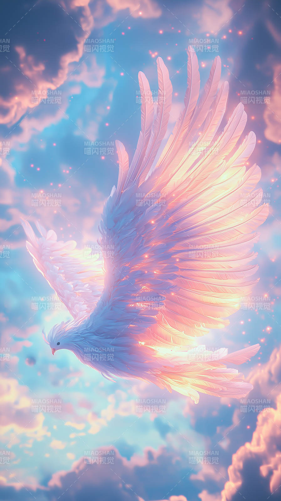 光之羽翼白鸽图片